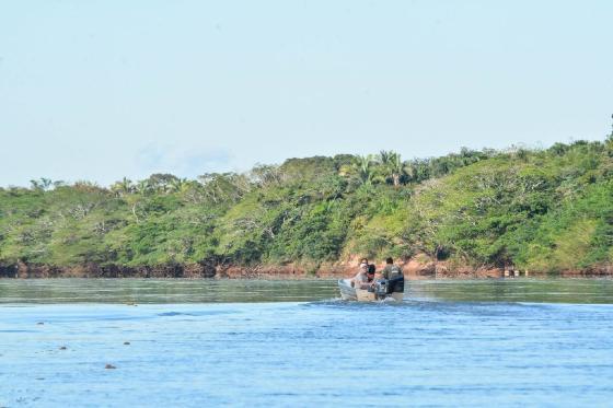 pesca e