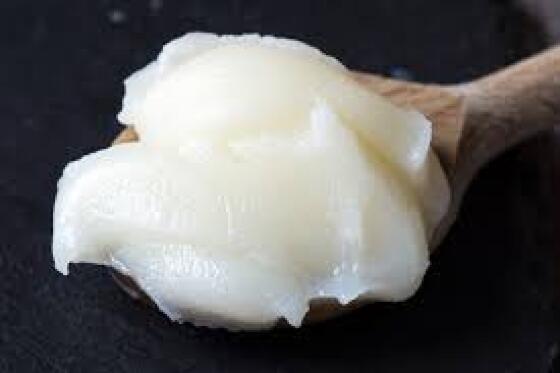 utilizada de