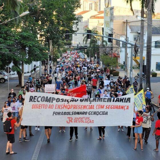requerimento