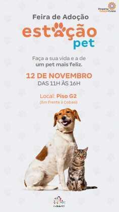 Assessoria de Imprensa