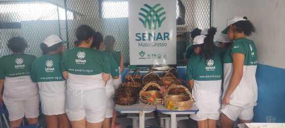 Sistema Penitenciário