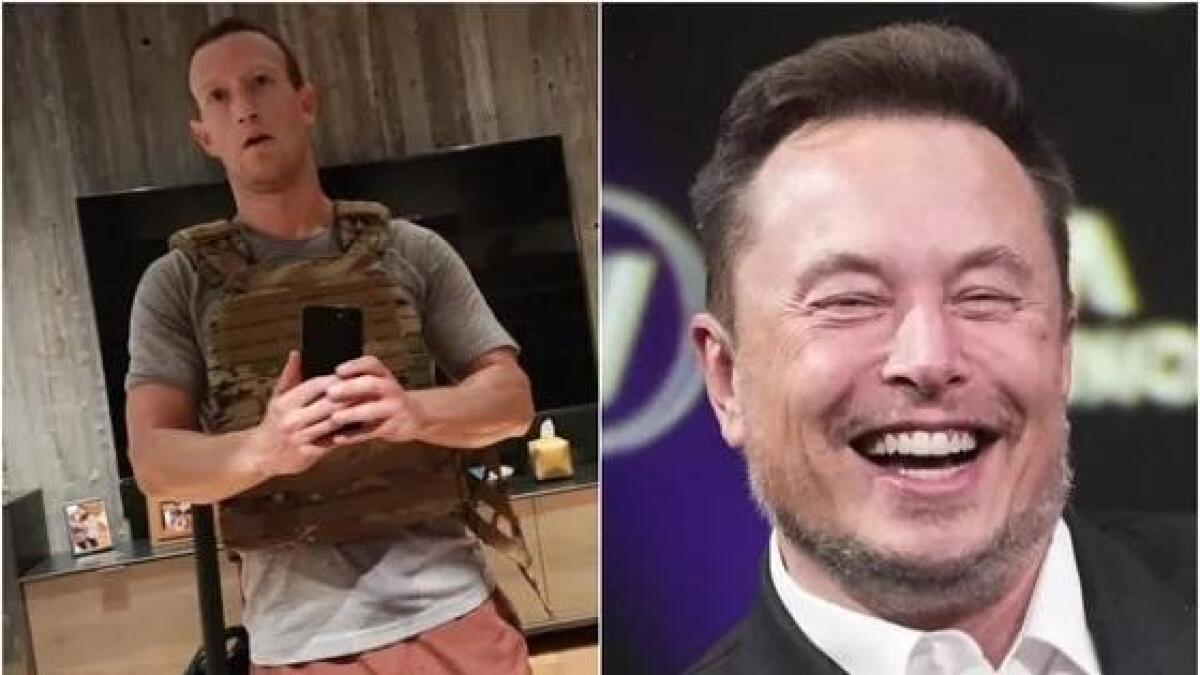 Elon Musk chama Zuckerberg para ringue e dono do Facebook aceita | O  Impresso MT