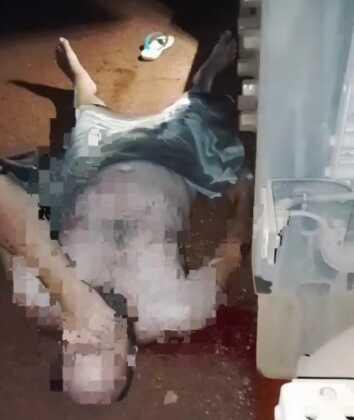 Reprodução