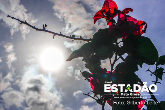 Gilberto Leite