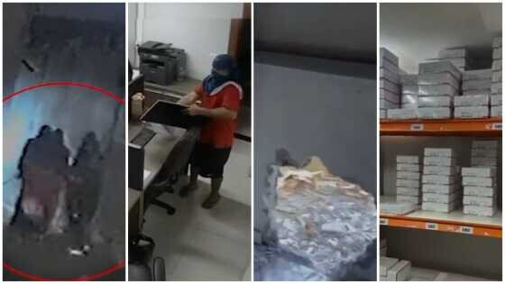 Reprodução