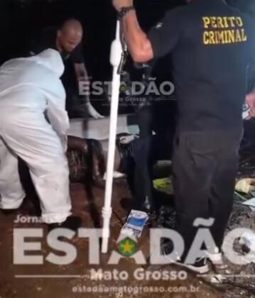 Reprodução