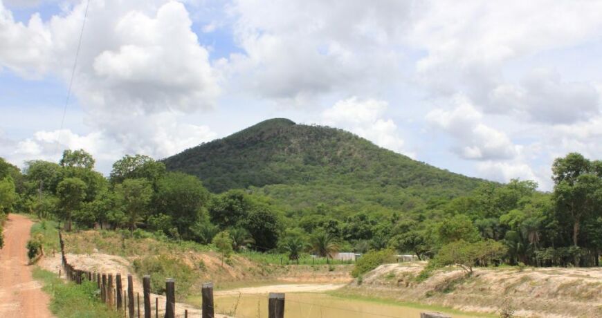Sema-MT