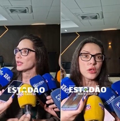 Deputada Janaina Riva participou do seminário promovido pelo Governo nesta quarta para debater o assunto
