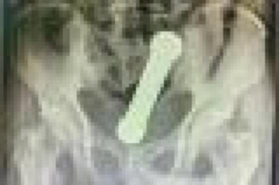 29e13b76be2087ce058ca003f4f828d5.jpeg